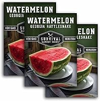 Georgia Rattlesnake Watermelon Seeds | Giant 25-35lb Heirloom Non-GMO Open-Pollinated | Survival Garden Seeds 3 Pack