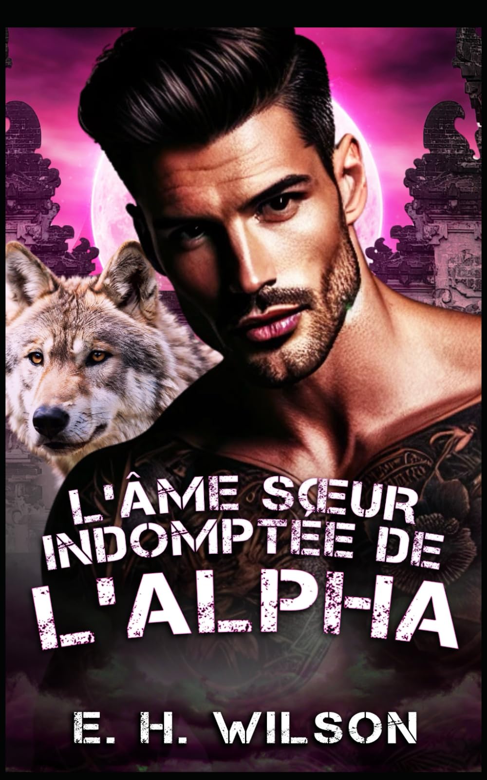 L'âme sœur indomptée de l'Alpha: Une romance entre un loup solitaire alpha et des âmes sœurs prédestinées (Série Destinées des Métamorphes du Bosquet de Duskhaven)