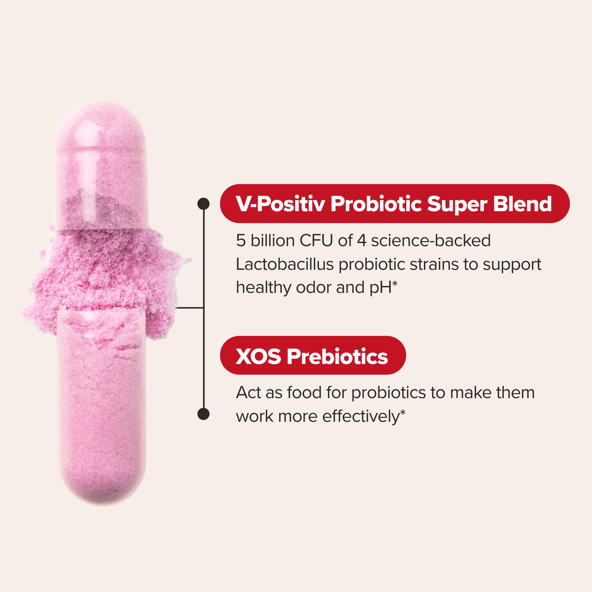 O Positiv URO - Probióticos vaginales para mujeres, equilibrio de pH con prebióticos y Lactobacillus, suplemento de salud vaginal, promueve el olor y la flora vaginales saludables, 60 unidades 4