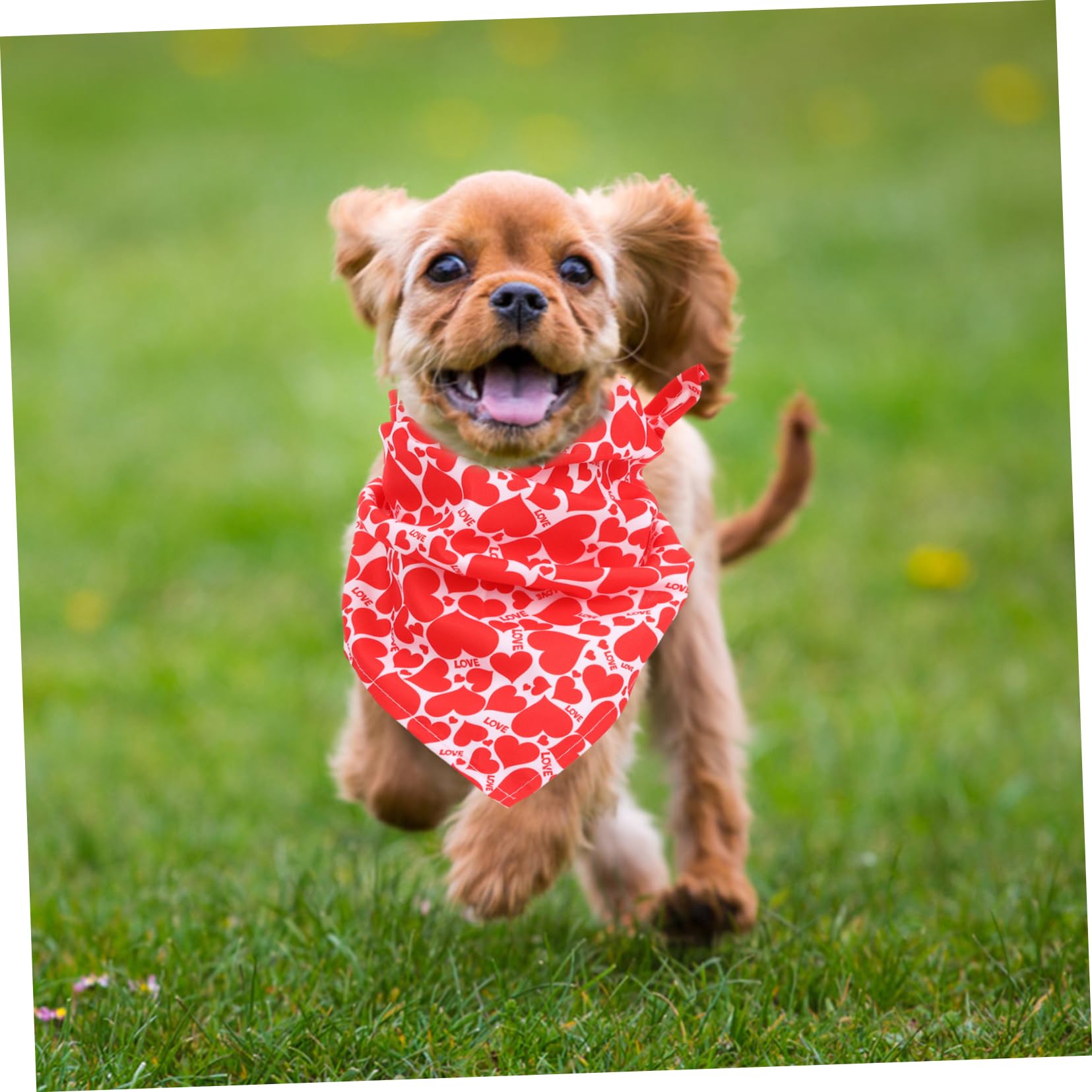 POPETPOP 15pièces Bandanas Triangulaires pour Chiens Foulards De Saint-Valentin Accessoires pour Animaux pour Photos Et Sorties