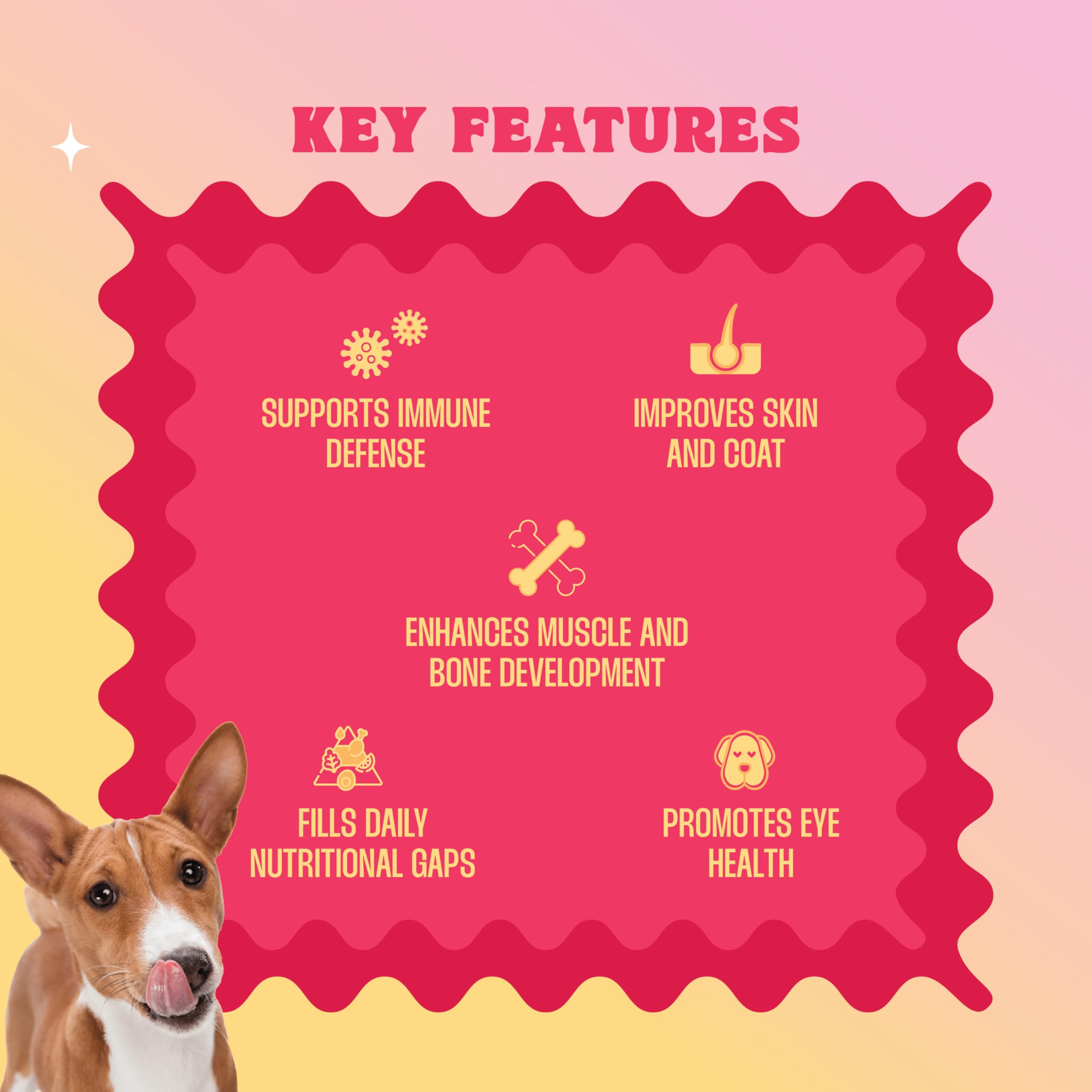 Wellie 8-in-1 Multivit Bites Dog Supplements | Chicken Flavored Treats with 8 Essential Vitamins, Zinc, Iron & Copper | Boosts Immunity, Skin & Coat, Energy & Wellness | for All Breeds | 100g 2