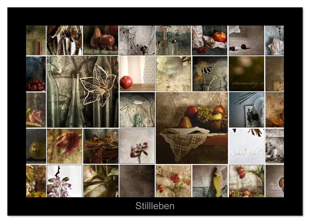 Stillleben (Wandkalender 2026 DIN A2 quer), CALVENDO Monatskalender: Spiel mit Texturen und diversen Pinseln (CALVENDO Kunst)