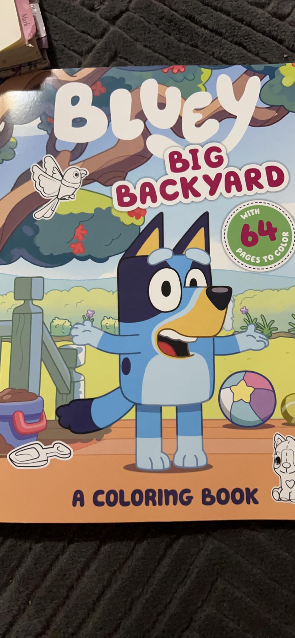 Bluey: Big Backyard: A Coloring Book: Penguin Young Readers Licenses ...