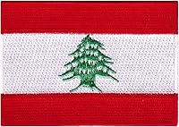 Vista 10 de Cypress Collectibles - Parche de la bandera de la India - Apliques bordados de alta calidad - Parches para planchar de país asiático