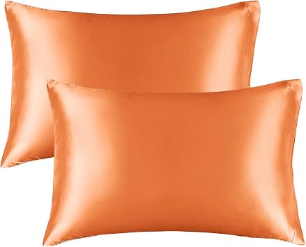 Satin Silk Pillowcase for Hair and Skin, Burnt Orange Pillow Cases Queen Size Set of 2 Pack Super Soft Pillow Case with Envelope Closure