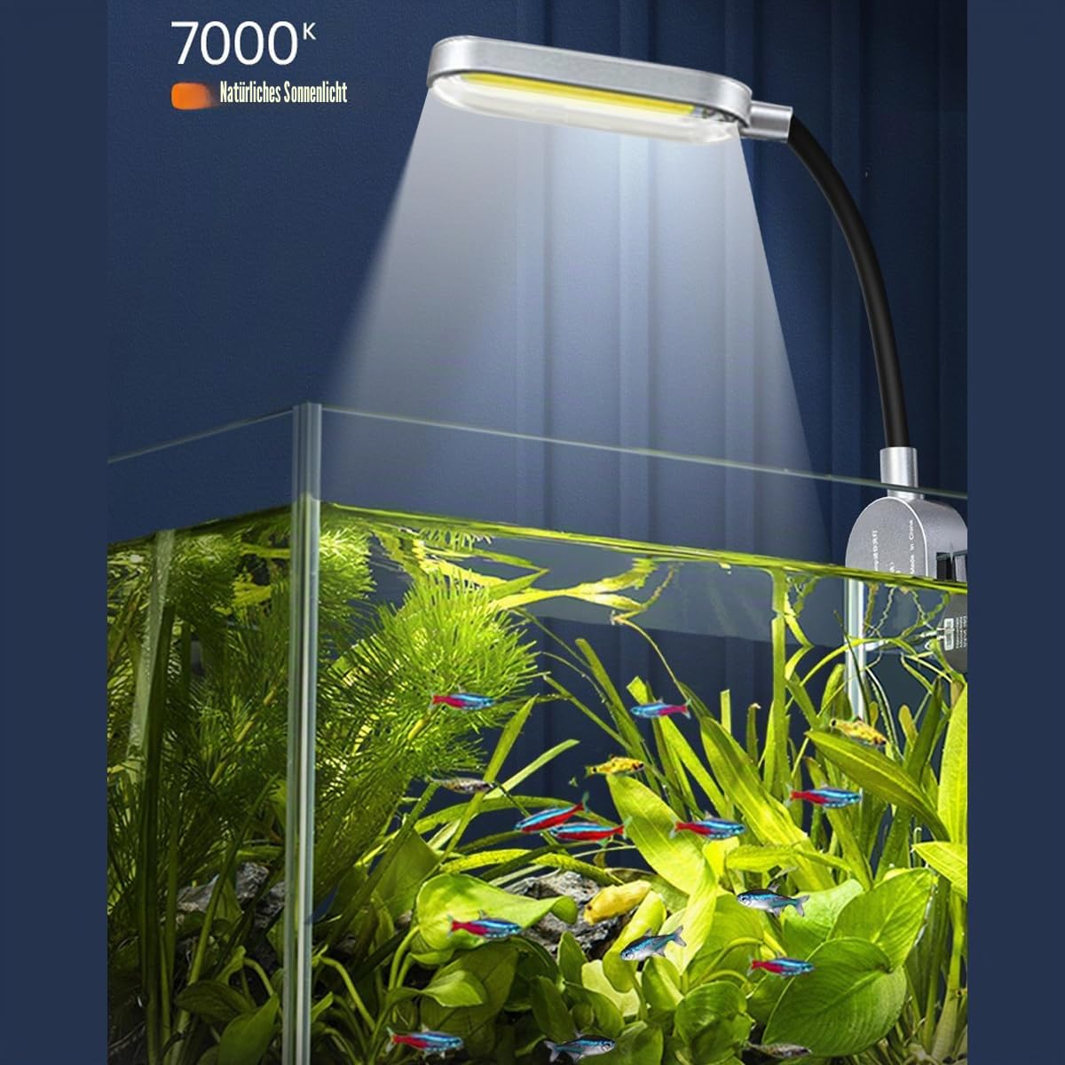5.5L Aquarium-Starter-Kits, Nano-Glas-Aquarium mit Filter, LED-Licht für Aquascape DIY kleines Betta-Fischbecken