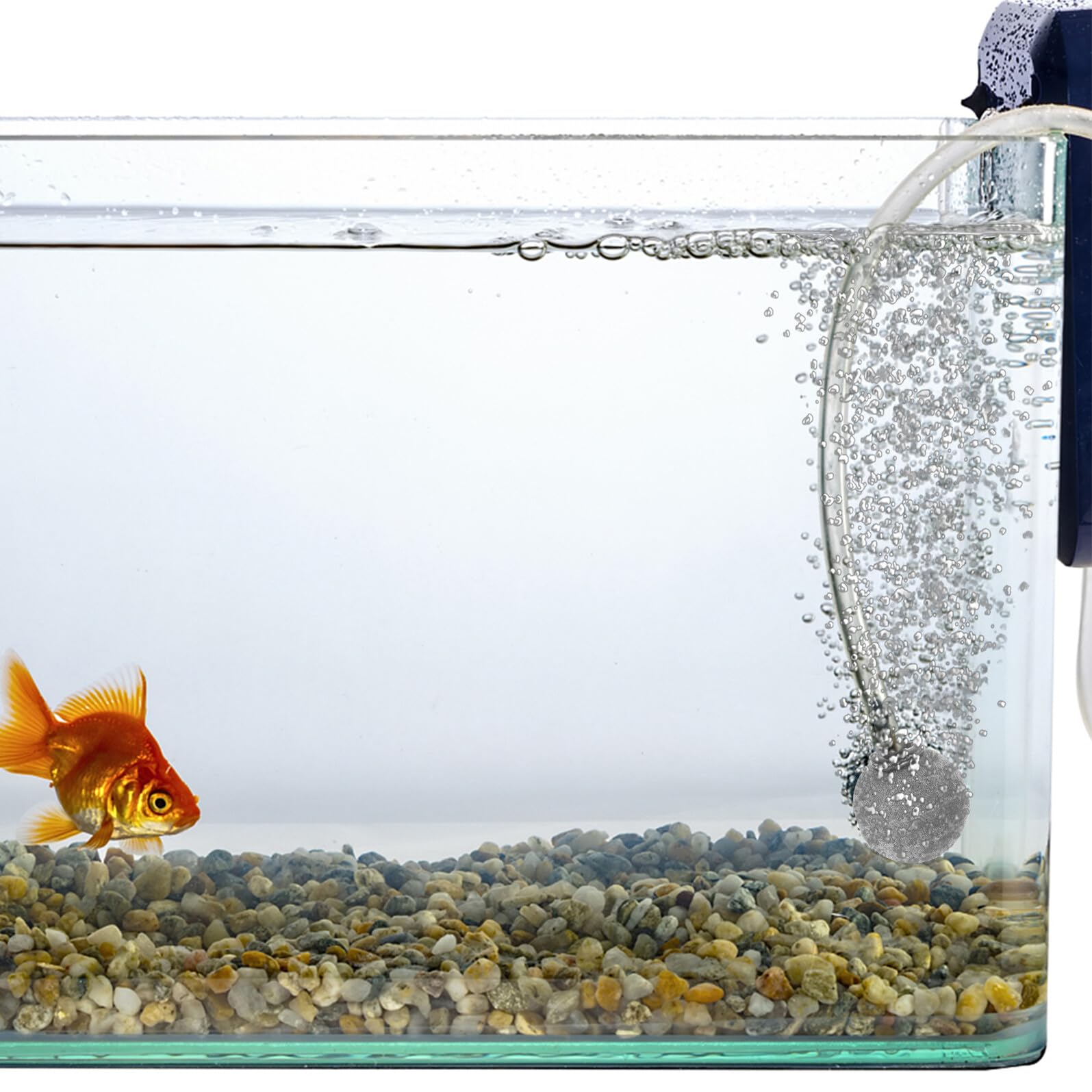 10 Pezzi Pietre d'Aria Rotonde per Acquario Diffusori Bolle Equilibrate in Dinas Riutilizzabili e Resistenti per Serbatoi Pesci d'Acqua Dolci e Marine