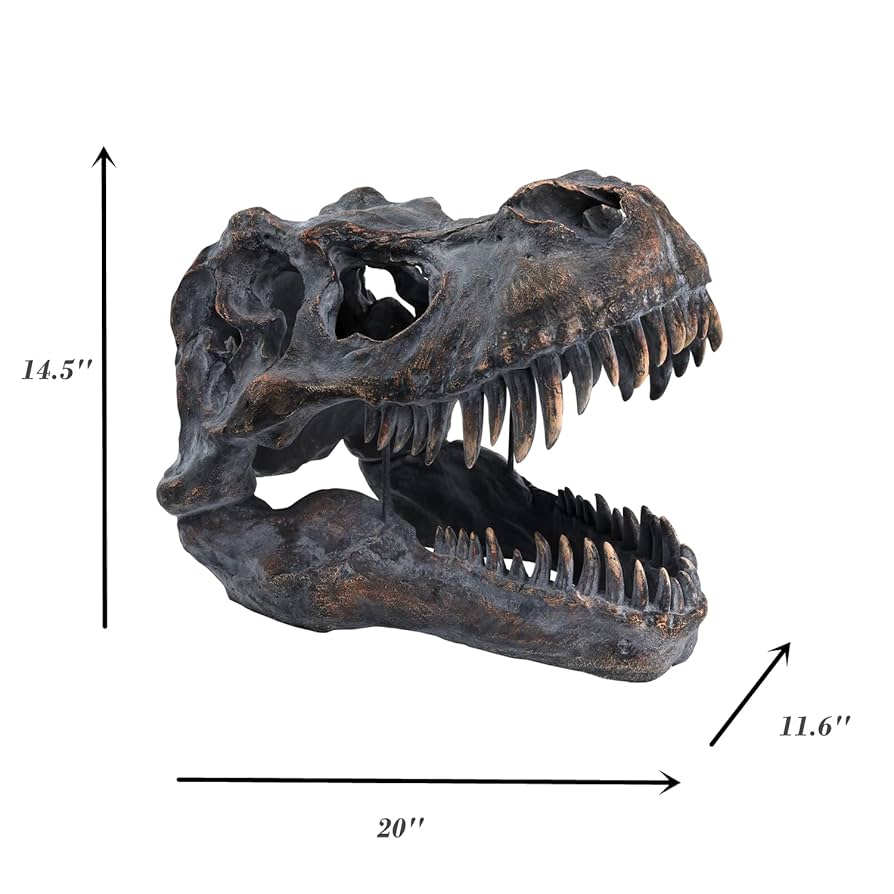 ティラノサウルス 骨格 壁掛け フレーム 恐竜 フェイバリットコレクション Amazon.co.jp: HEINBOW 巨大ティラノサウルス レックス 恐竜
