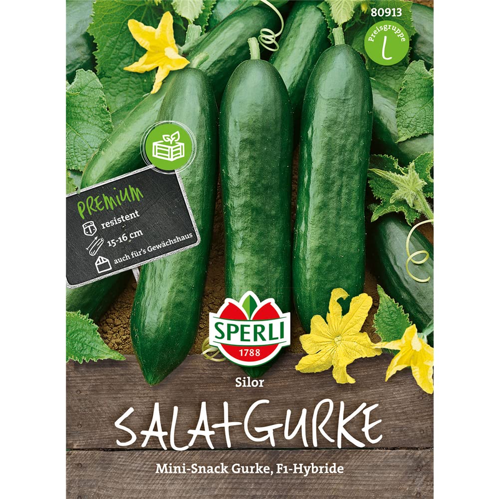 Sperli Snackgurkensamen Silor, F1 80913 – saftige, bitterfreie Früchte, reinweiblich - Inhalt für 4 Pflanzen - Gemüsesamen, Samen Gemüse, Gemüsepflanzen