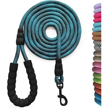 10 ft dog leash