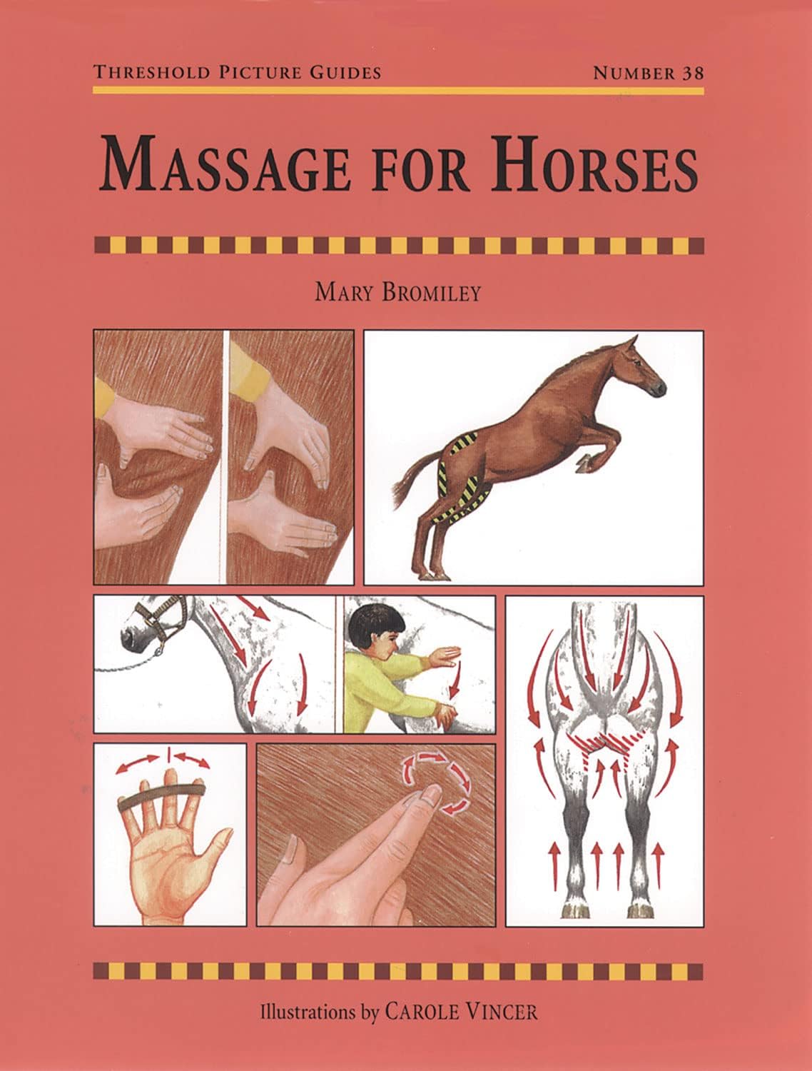 Massage for Horses (Threshold Picture Guides)