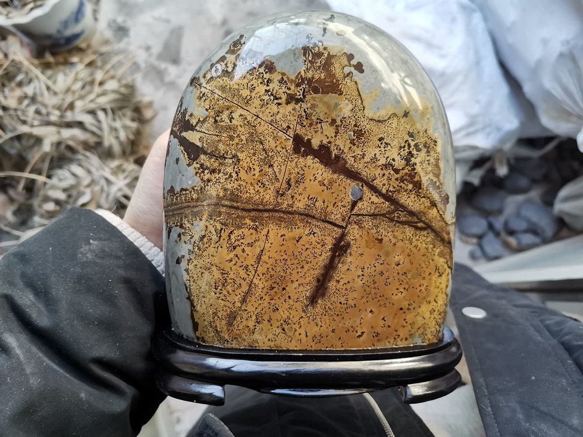 送料込み　中国鑑賞石　草花石 Amazon.co.jp: 草花石 自然石 天然石 超 置物 鑑賞石 飾り石 冬