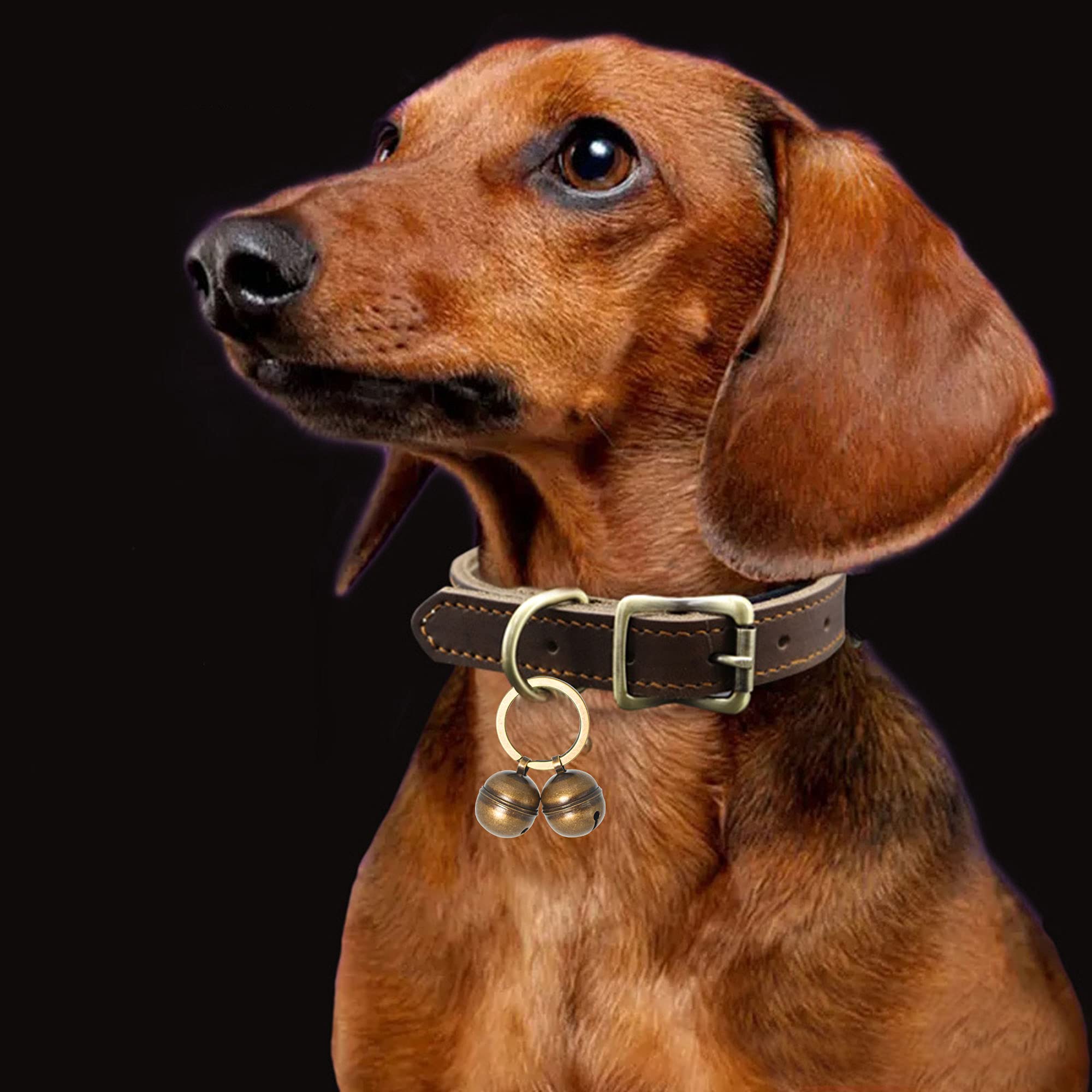 Kupferglocken für Hundehalsbänder mit Schnapp-Clips – aus reinem Kupfer für Hunde/Katzen – klarer Klang & kein Rost – retten Sie Vögel Wildtiere, wissen Sie, wo Ihr Haustier ist.