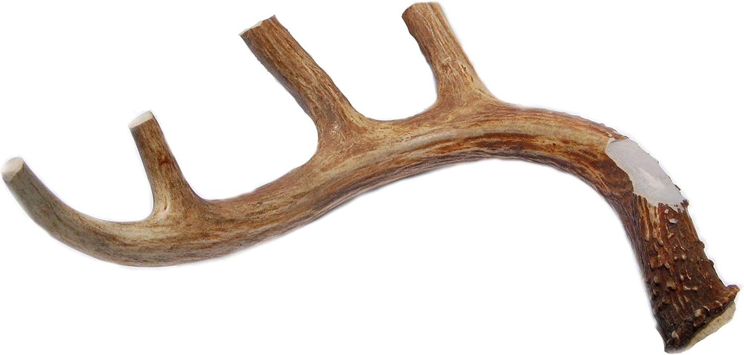 XL Deer Antler Dog Chew - Extra Large, Jumbo, for Large Dogs and Puppies Who are Aggressive Chewers