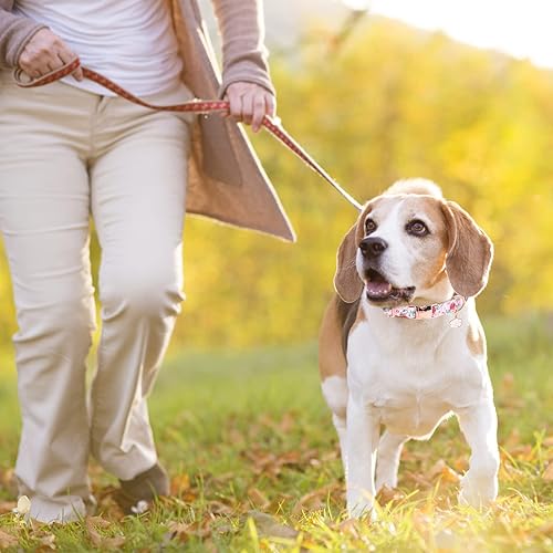Miniatura 6 de ESGPET Collar para perro, collar para mascotas ajustable y duradero con hebilla de metal de seguridad para perros pequeños y medianos (rosa)