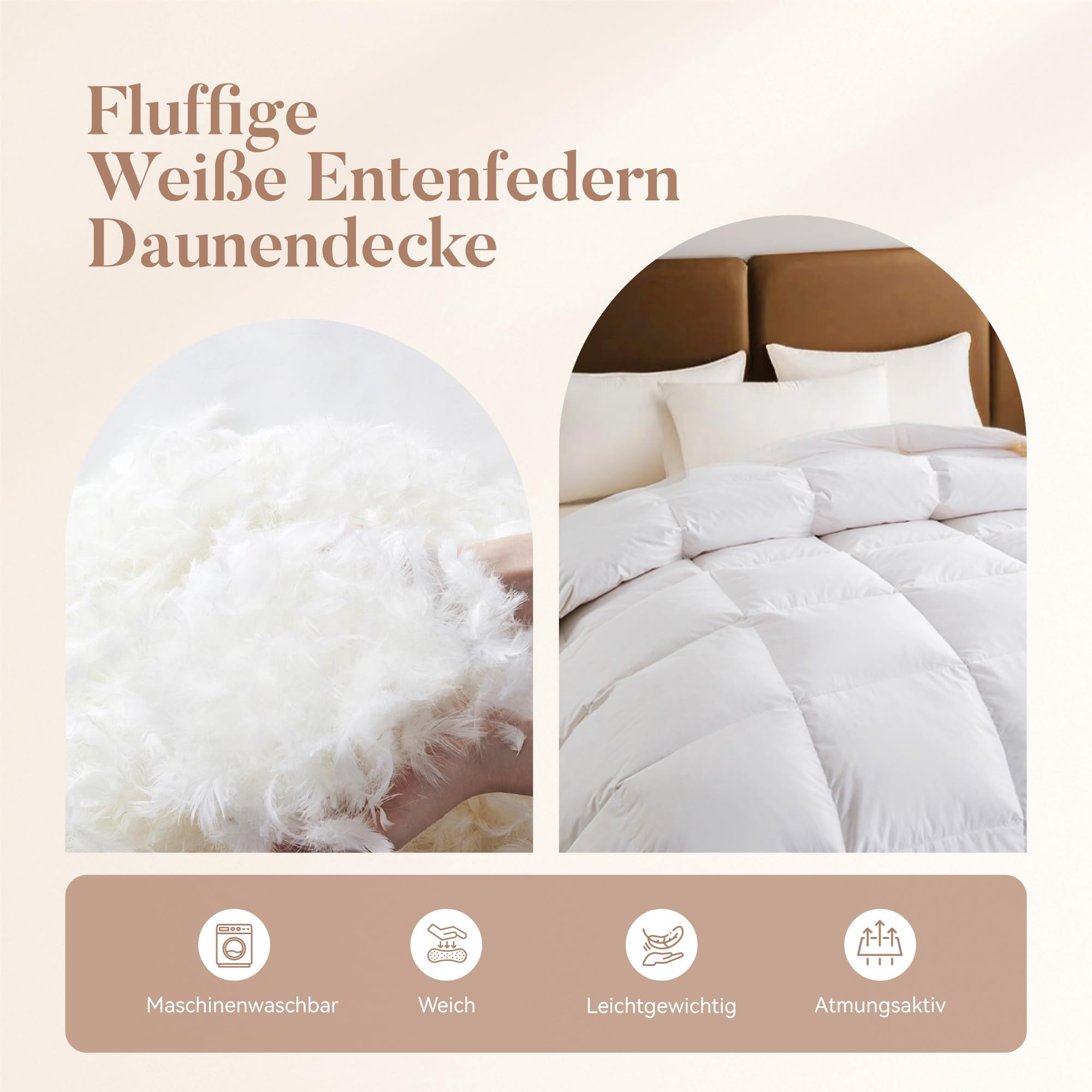 Sophia & William Bettdecke, 4 Jahreszeiten Bettdecken 200x200 cm für Allergiker, Oeko-TEX Zertifizierte Steppdecke, Ganzjahres Federbett Daunendecke mit 80% Federn & 20% Daunen
