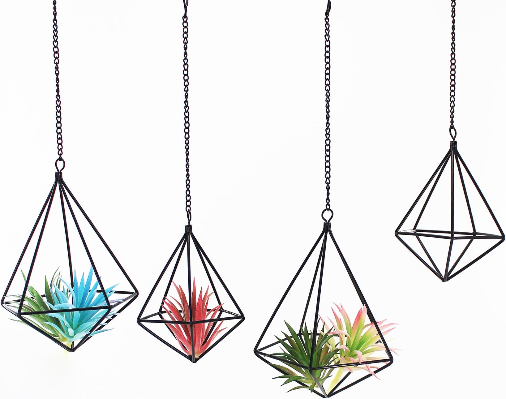 Geometric Air Plant Hangers - 4 Pack Black Metal Tillandsia Display Cages, Hanging Air Plant Holders for Indoor Plants Decor, Air Fern Frame