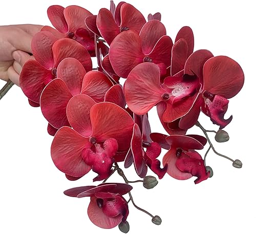 Miniatura 4 de Phalaenopsis - Flores artificiales de 32 pulgadas, 6 piezas de orquídeas artificiales con tallo para decoración del hogar (rojo)