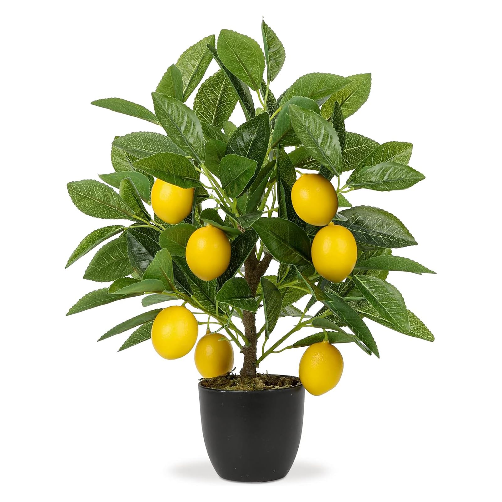 Amazon｜Villa Como フェイクグリーン インテリアグリーン レモン  