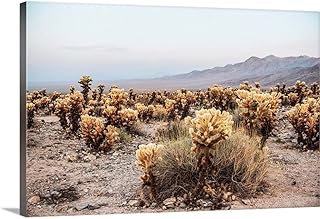 CANVAS ON DEMAND Cholla Cactus Garden, Joshua Tree National Park, California Canvas Wall Art Print by Circle Capture, Home Decor, Floral, Flowers, Nature Artwork, 30" x20in