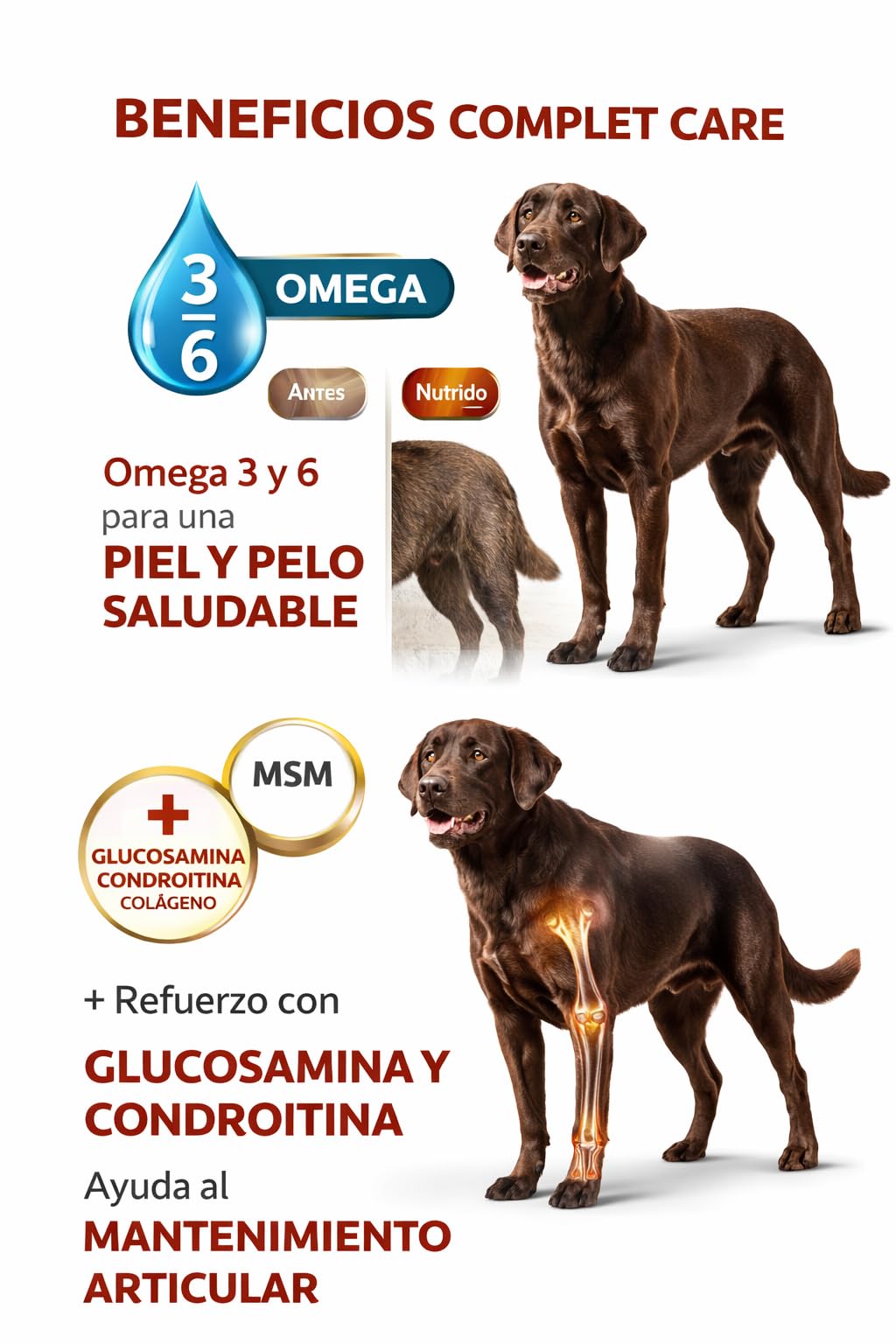 Pienso para Perro Adulto salmón y atún 15 kg con arroz Integral Omega 3 y 6 Alta palatabilidad y energía equilibrada Complet Care