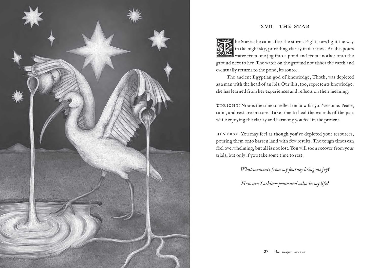 Tarot of the Woodland Wardens: 78-Card Deck & Guidebook - Image 12