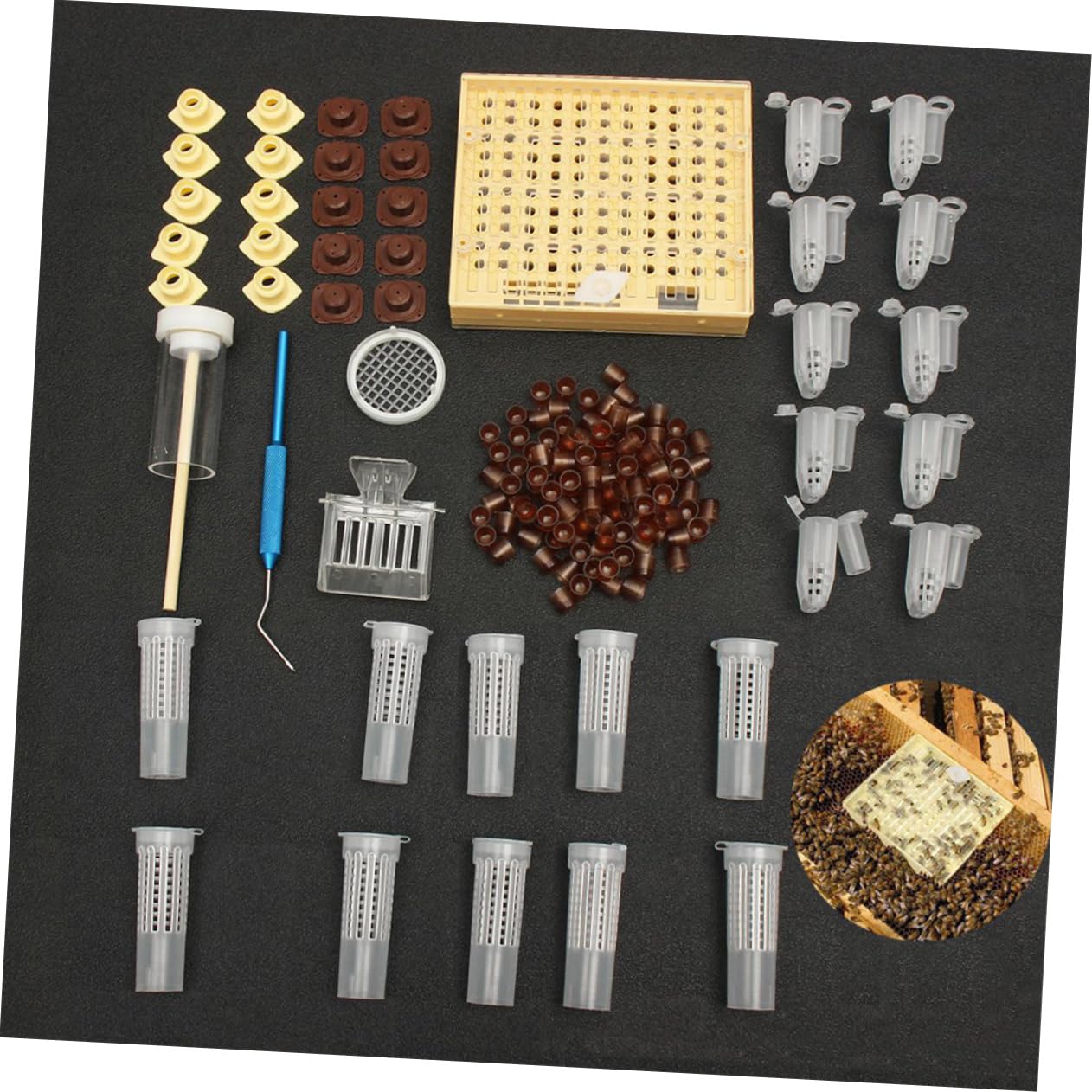 Incubateur Pour Système Délevage De Reines Kit De Coupelles Pour Cellules Dabeilles Incubateur Mobile Pour Système Délevage De Reines