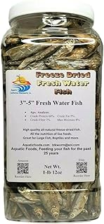 Sponsored Ad - 1-lb 12oz of 3"-5" Freeze Dried Fresh Water Fish - Perfect for Piranha, Large Tropicals, Pond Fish, Turtle...