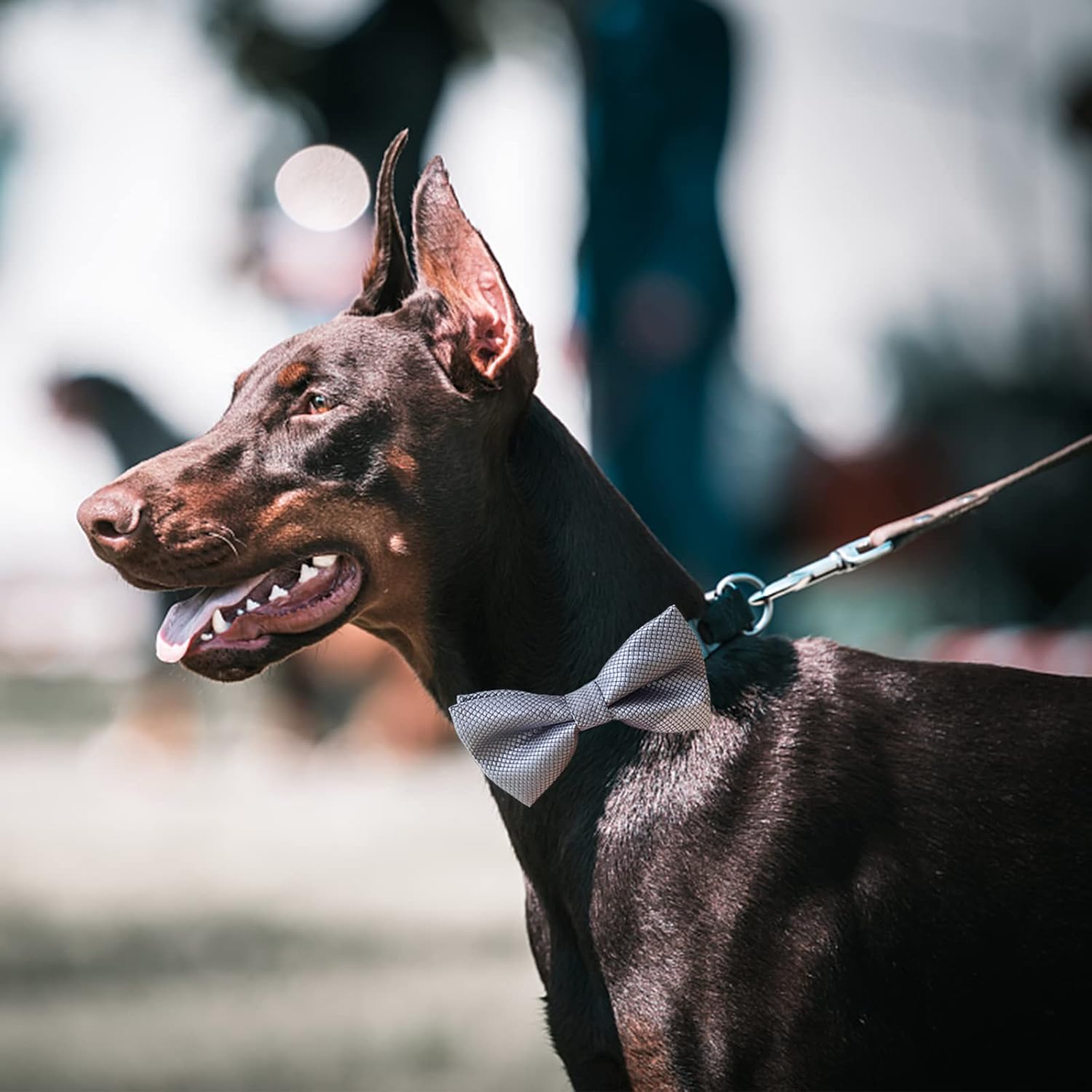 Bow Ties| Premium Double Layer Bowtie| 20 Colors Dog Collar Attachment Bow Ties Rubber Band for Large Pet Collars(Large)