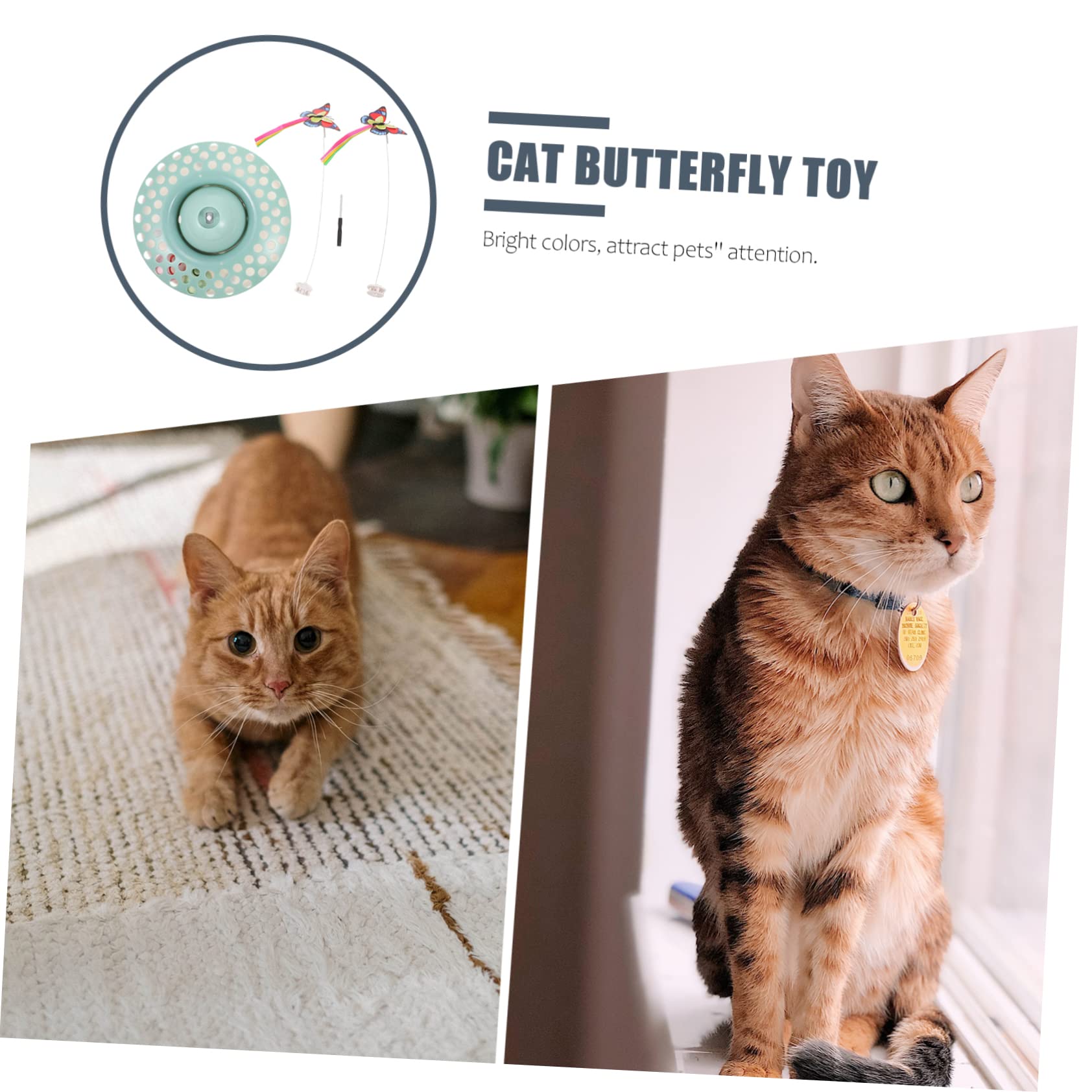 Toyvian Katzenspielzeug Schmetterlingen Interaktives Spielzeug Für Kätzchen Haustierspielzeug Zum Aktivieren Von Instinkten