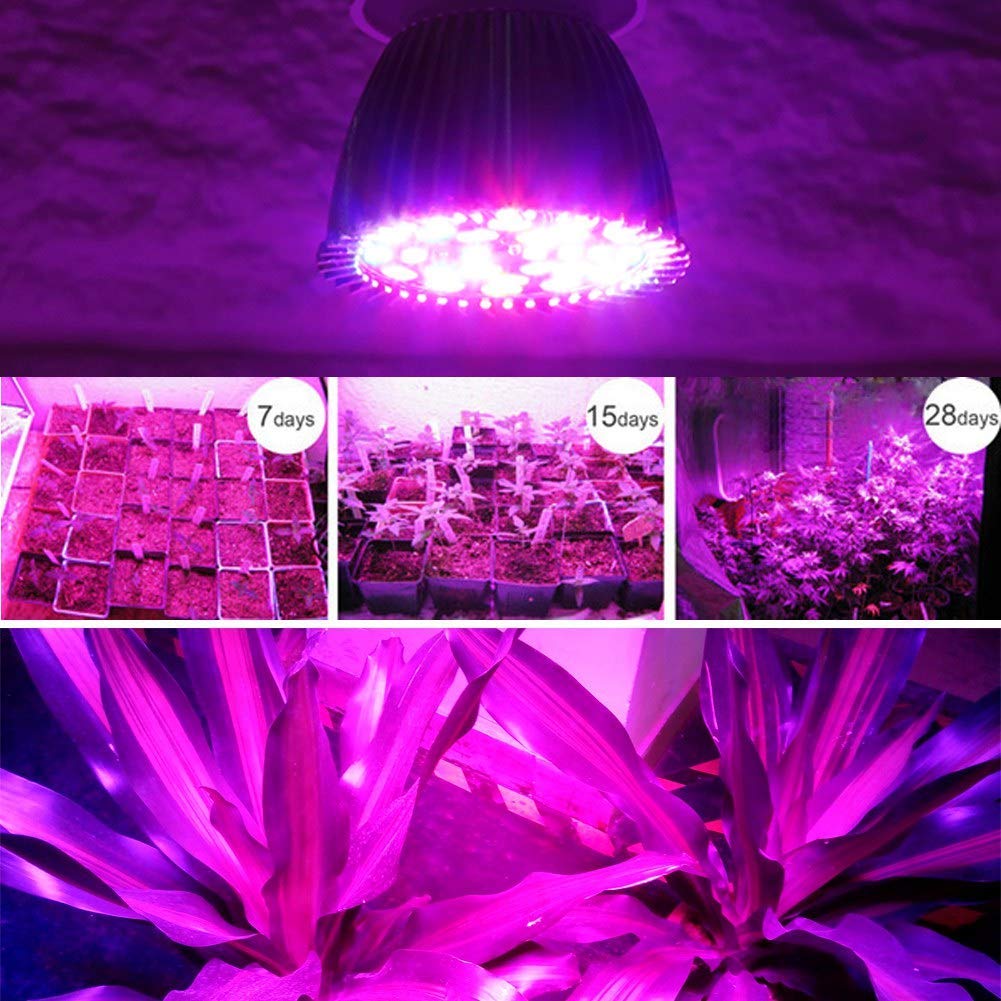 Zerodis LED Coltiva la lampada, 5W E27 Pannello ad Alta Potenza Spettro Completo 28 LED Lampada per Coltivazione Indoor Coltiva la lampadina per Serra Pianta Pianta in Vaso fiori