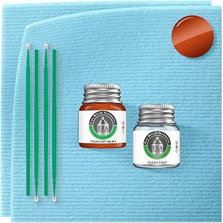 ERA Paints PEC/VEC - Sinamon Stick Metallic for DODGE Exact Match Automotive Touch Up Paint Jar - Essential Kit