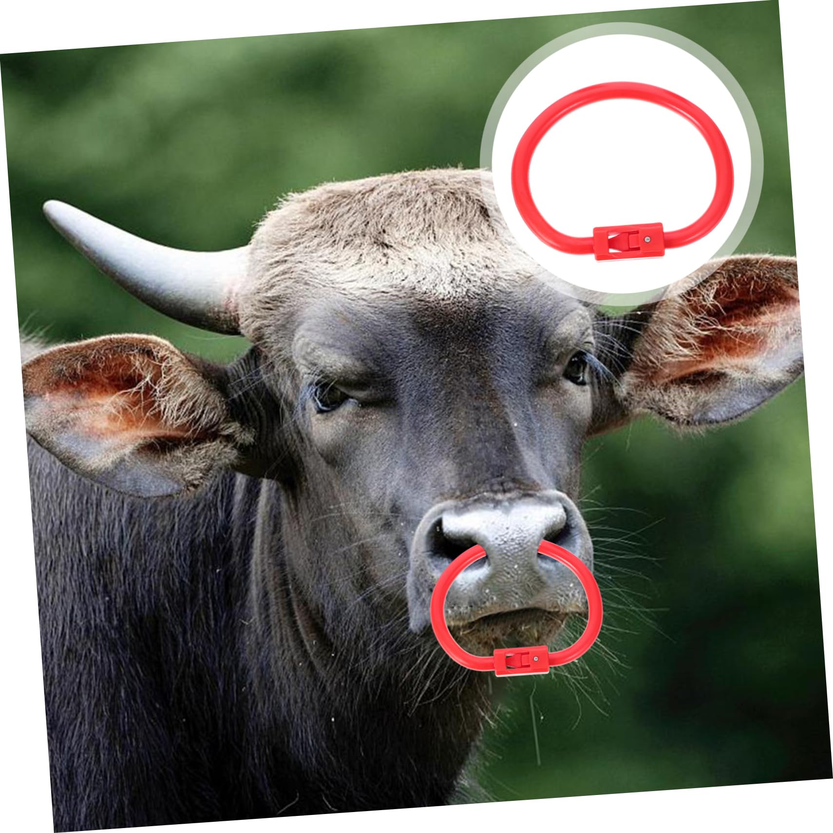 FUNOMOCYA Cow Nose Ring Plastic Traction Ring for Cattle Durable Spring Design Resistant for Farmers and Veterinarians Comfortable Fit for Various Nose Shapes