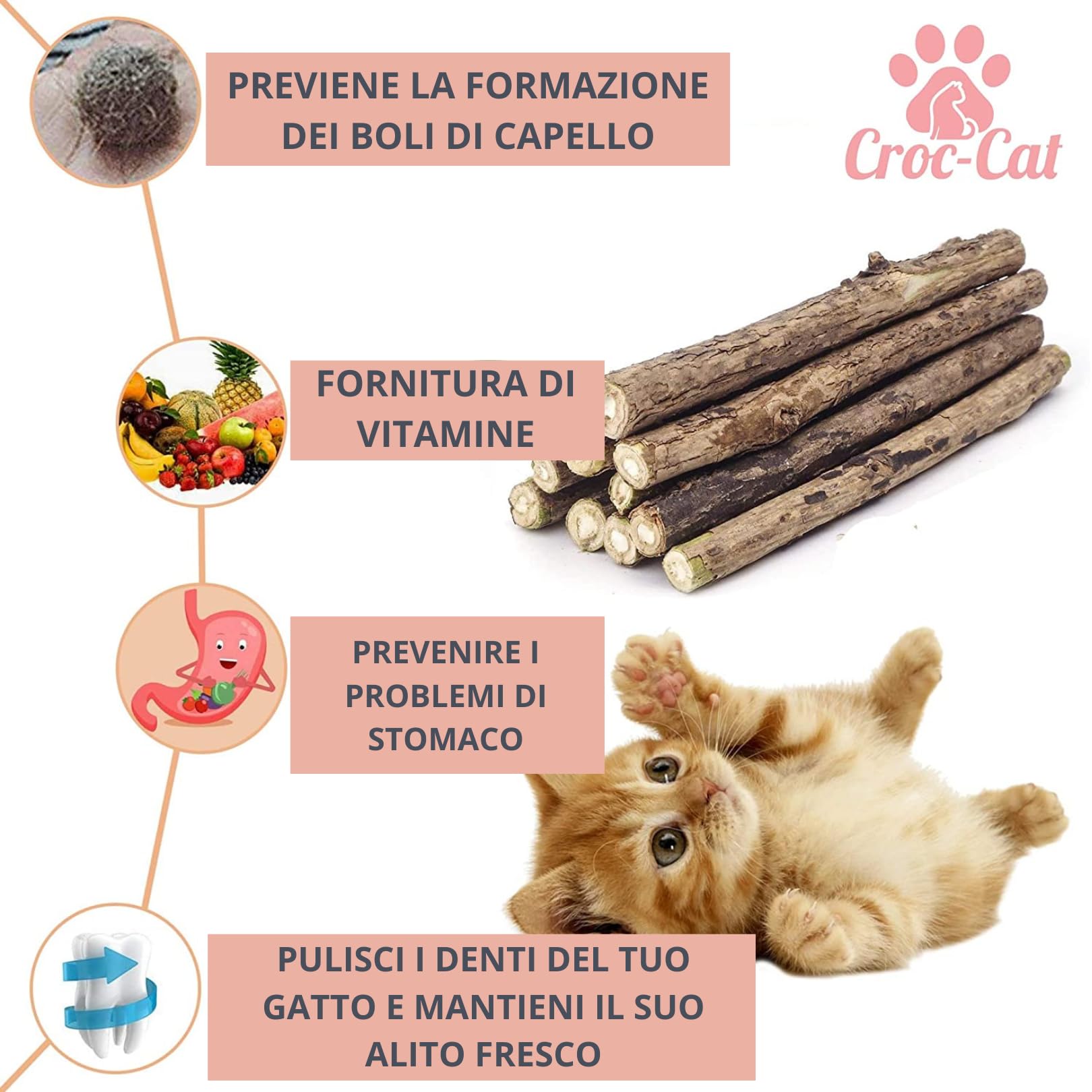 Zaino Gatto Zaino Arcaplanet Omaggio Uovo Di Pasqua Per Gatti