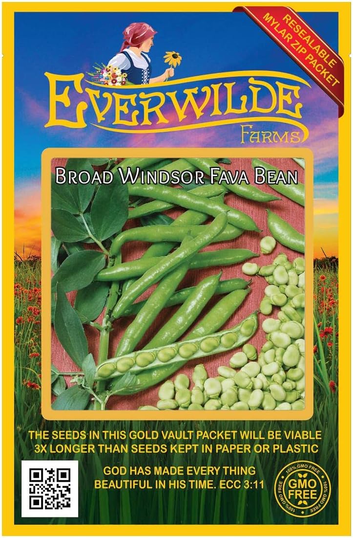 Everwilde Farms - 20 Fava Broad Windsor Fava Bean Seeds - Gold Vault Seed Packet