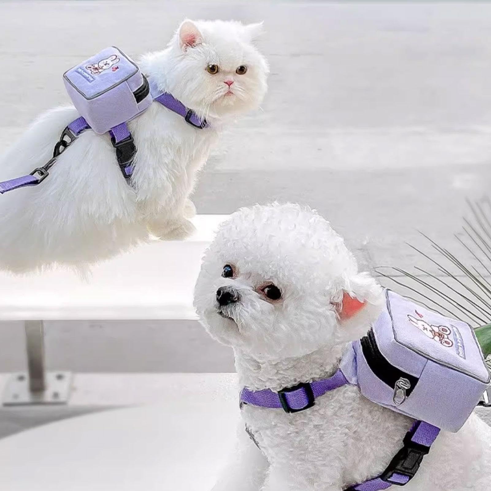 Imbracatura per zaino per cani | Imbracatura da trekking con design animale dei cartoni animati | Borsa da sella regolabile per cani, con motivo colorato con orso, coniglio, dinosauro per viaggi,
