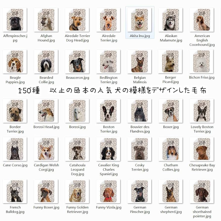 正規品♡シーズー柄プリント毛布♡オフホワイト 正規品♡【Sleep】シーズー柄 プリント毛布♡オフホワイト