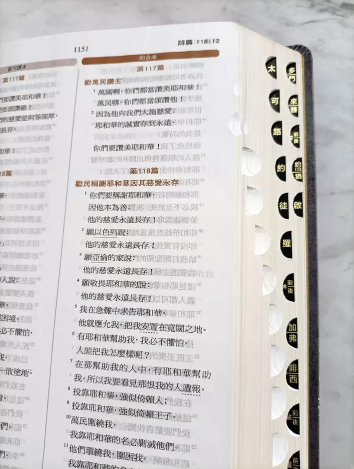 聖經-當代譯本(地圖金翻口彩繪仿皮索引2版精裝)/圣经-当代译本