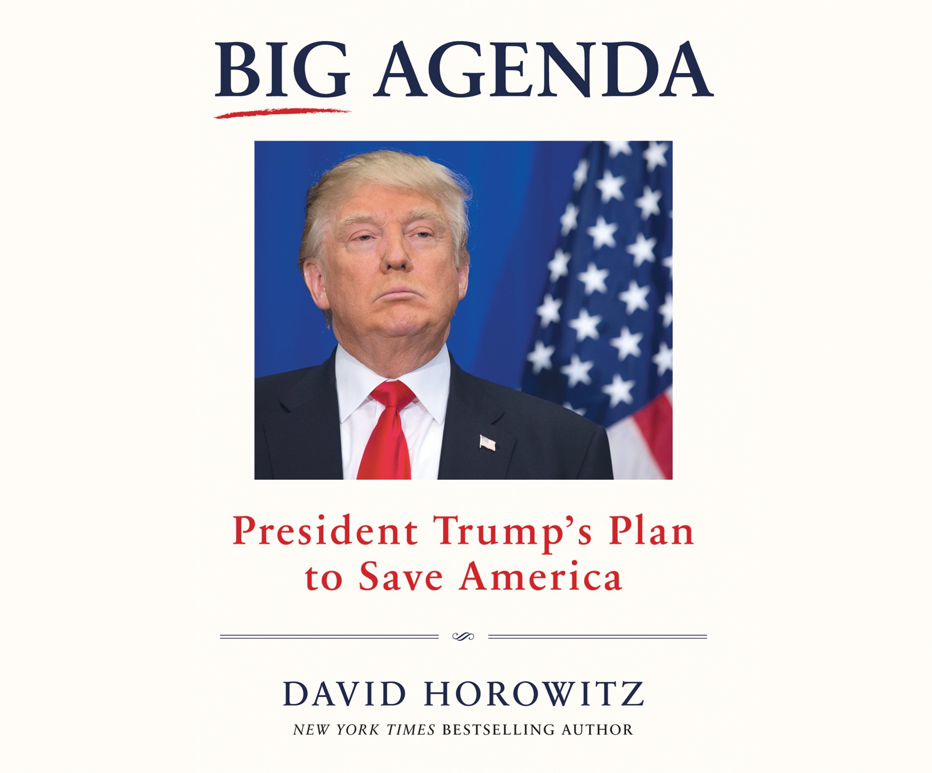 Buy Big Agenda: President Trump's Plan to Save America — BookShops.in