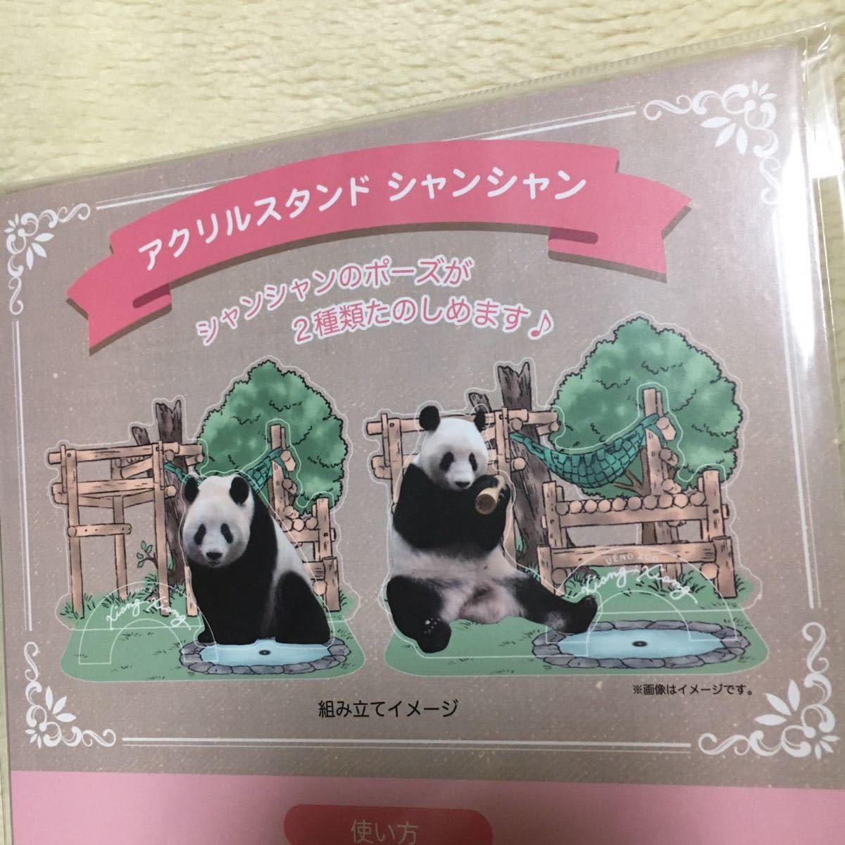 Amazon.co.jp: シャンシャン アクリルスタンド 上野動物園 公式