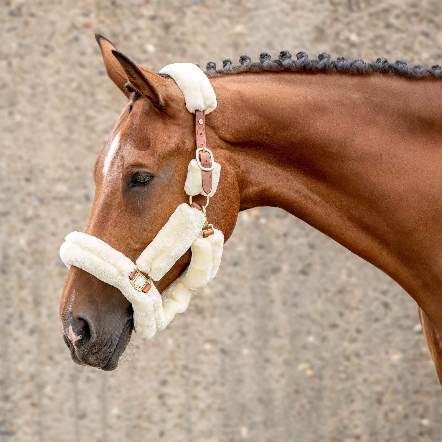 SUNRIDE Cabestro de Piel para Caballos (Dover) con Cuerda - de Cuero Genuino - Ajustable (COB, marrón)