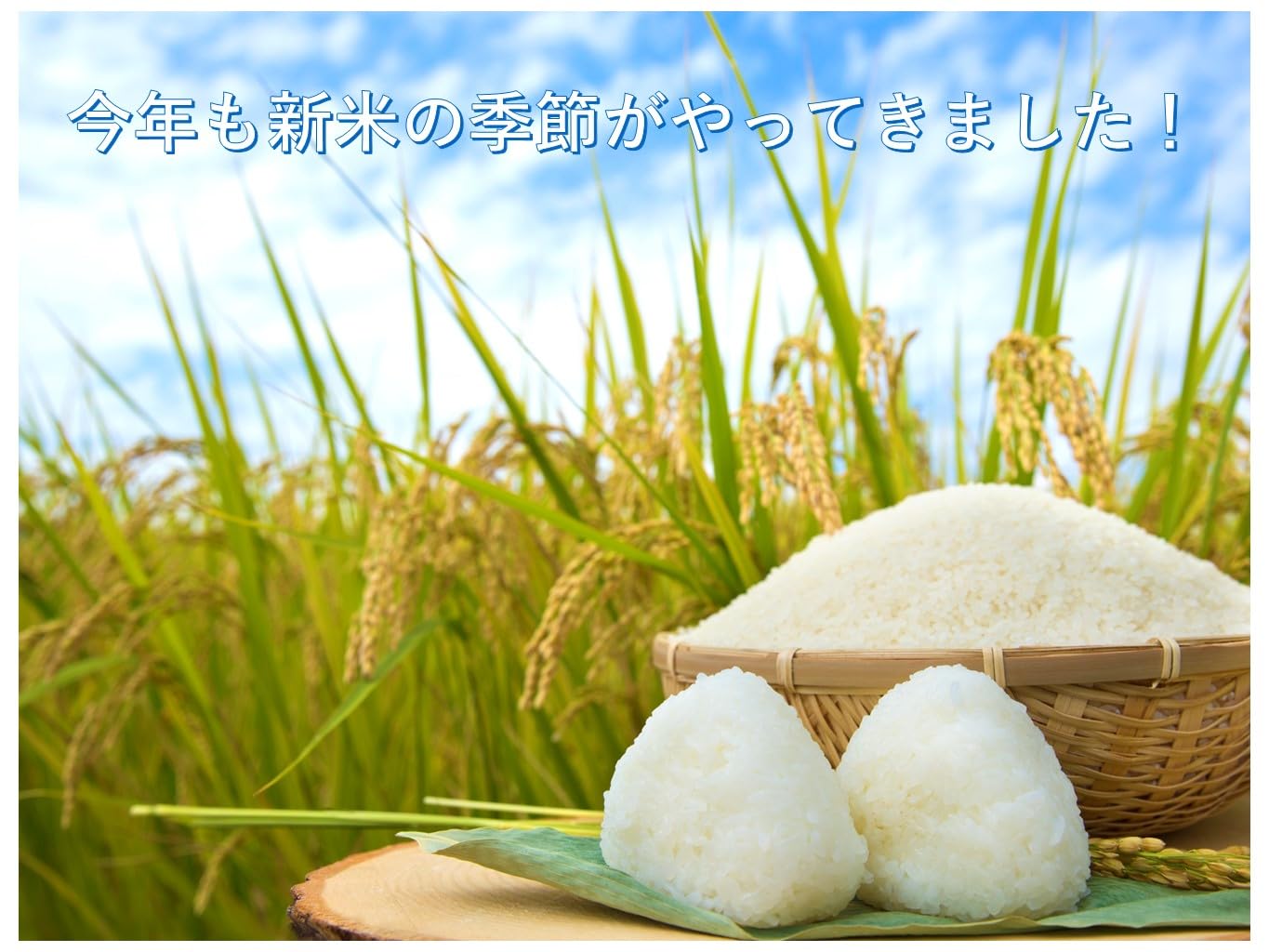 Amazon.co.jp: 【受注精米】 山形県産 つや姫 新米 令和6年産 特別栽培