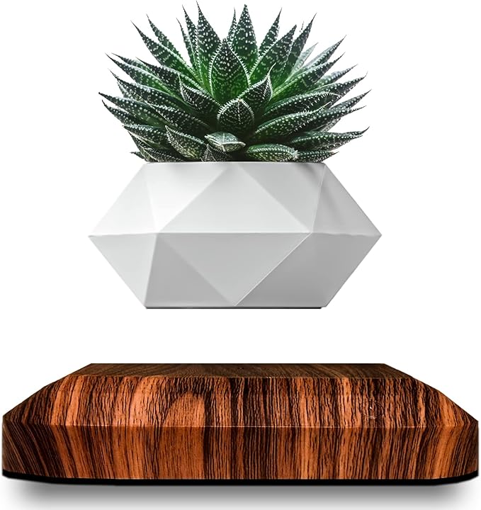 Schwebende Pflanzentopf