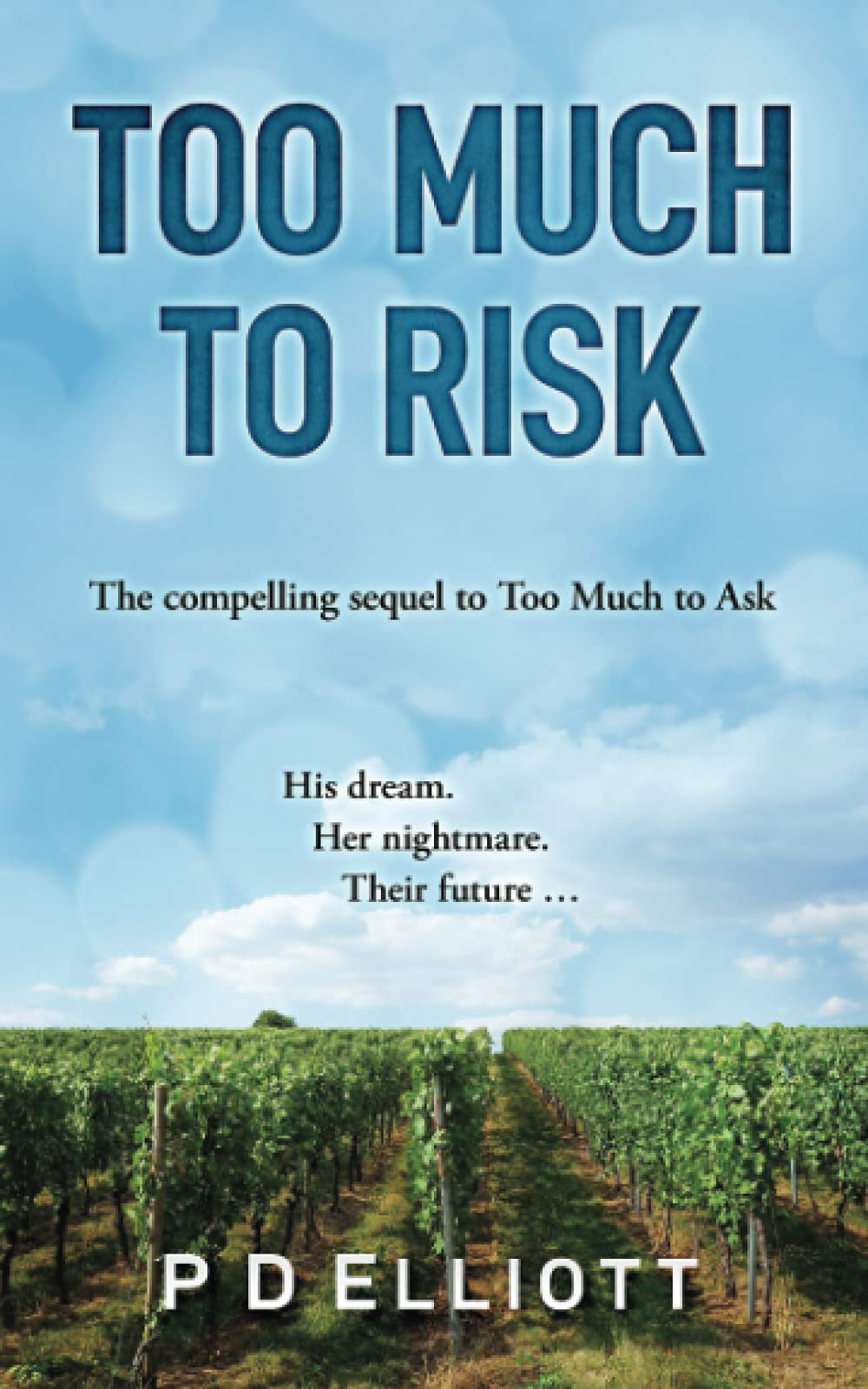 Too Much to Risk: The compelling sequel to Too Much to Ask (Too Much trilogy)