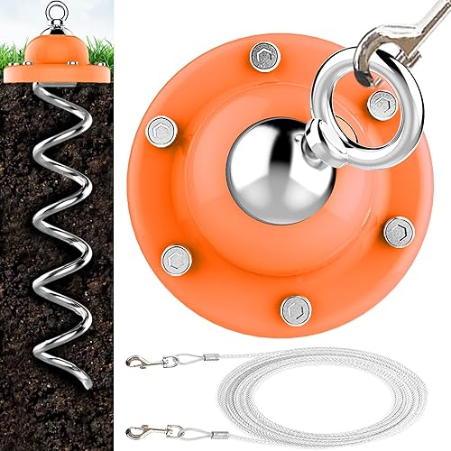 The 10 Best Dog Tie Outs & Stakes In 2024