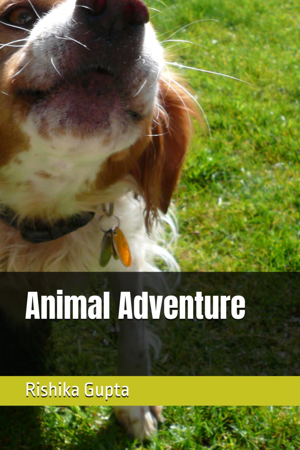 Animal Adventure