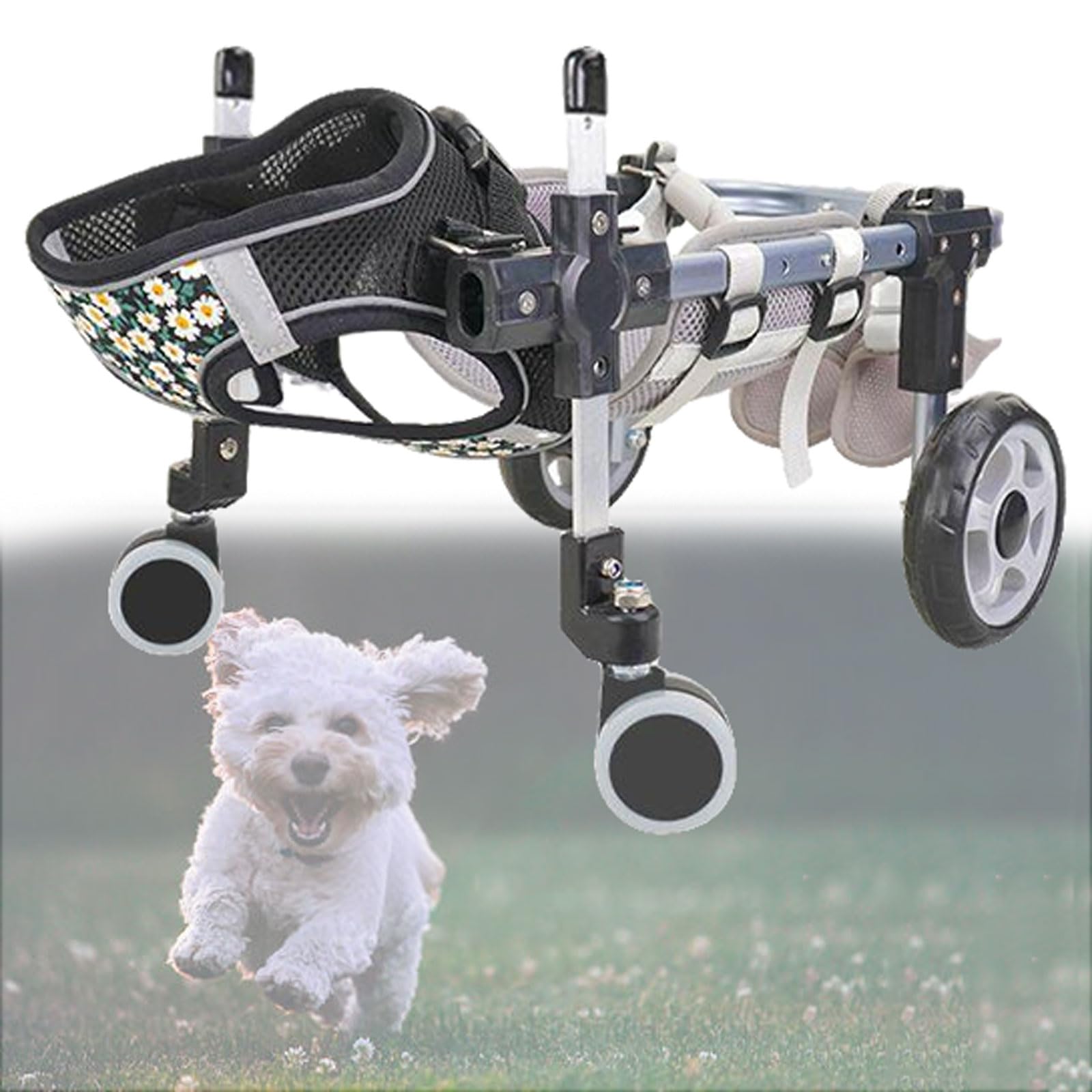 Fauteuil roulant pour chien réglable avec soutien des jambes arrière
