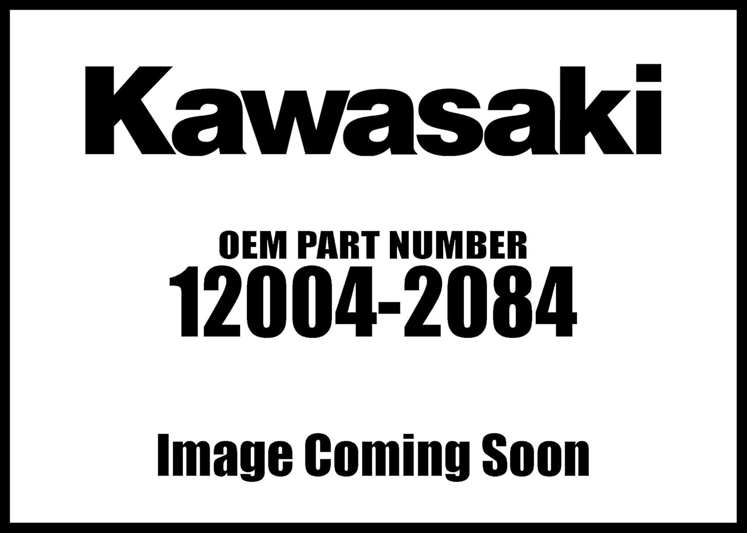 Kawasaki Valve-Intake - 12004-2084