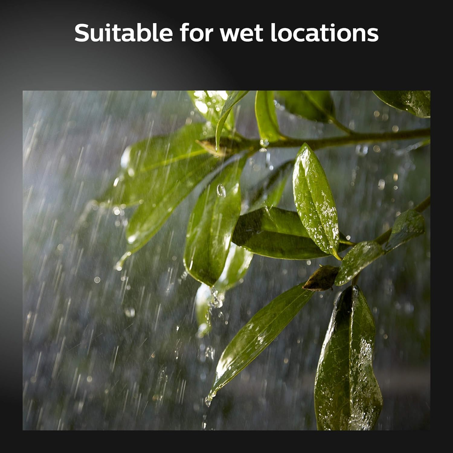 Leaves being rained on, indicating suitability for wet locations