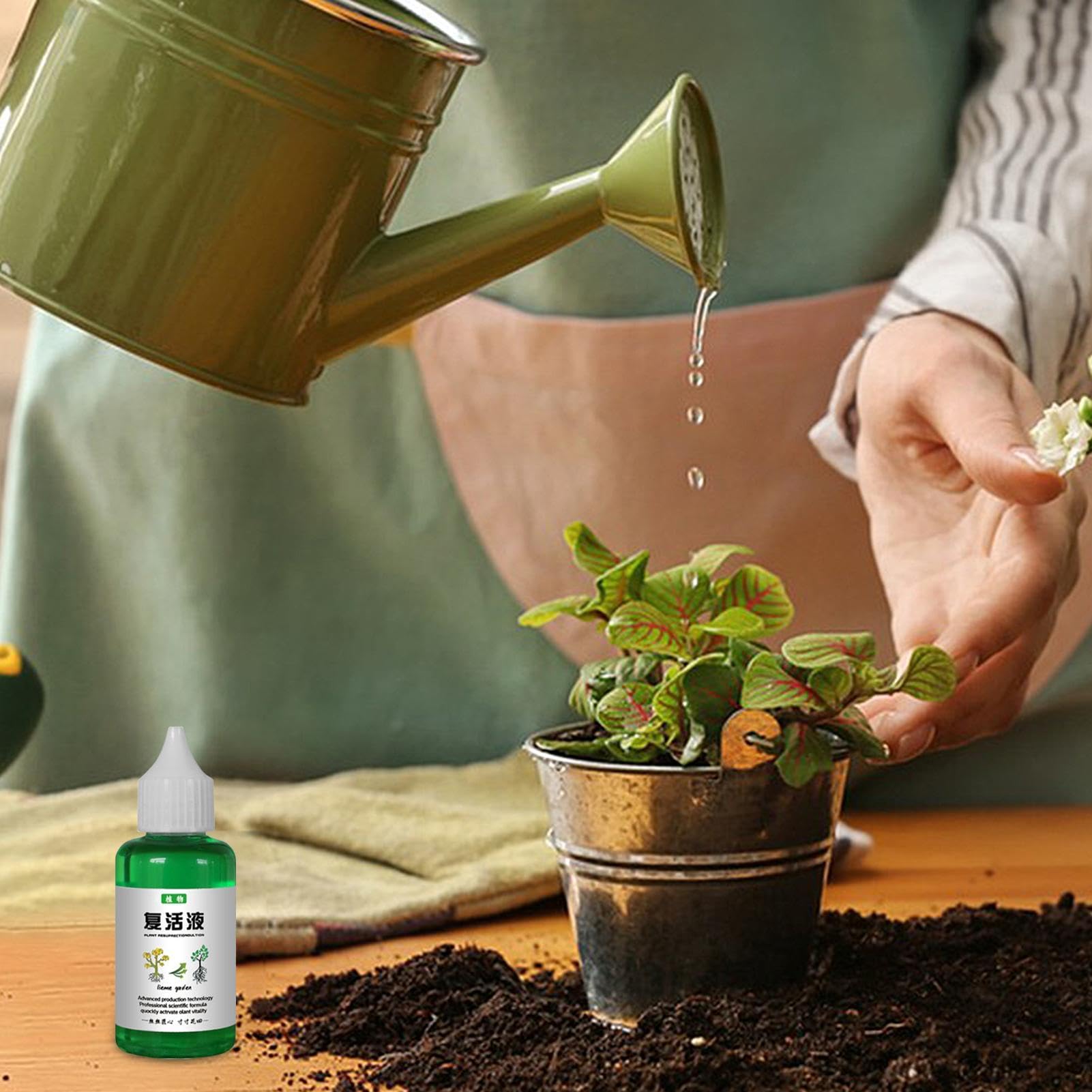 Auferstehungsflssigkeit Fr Pflanzen 50ML Zimmerpflanzendnger Flssiger  Dngemittel Nhrstoffflssigkeit Natrliche, Schnell Wirkende  Pflanzendnger Fr Garten Und Zimmerpflanzen : Amazon.de: Garten